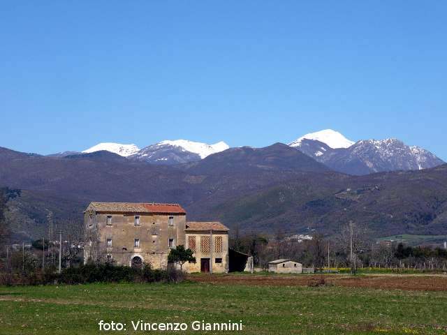 Masseria Monachetti